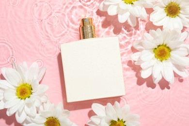 Beautiful daisy flowers and perfume bottle in water on pink background, flat lay