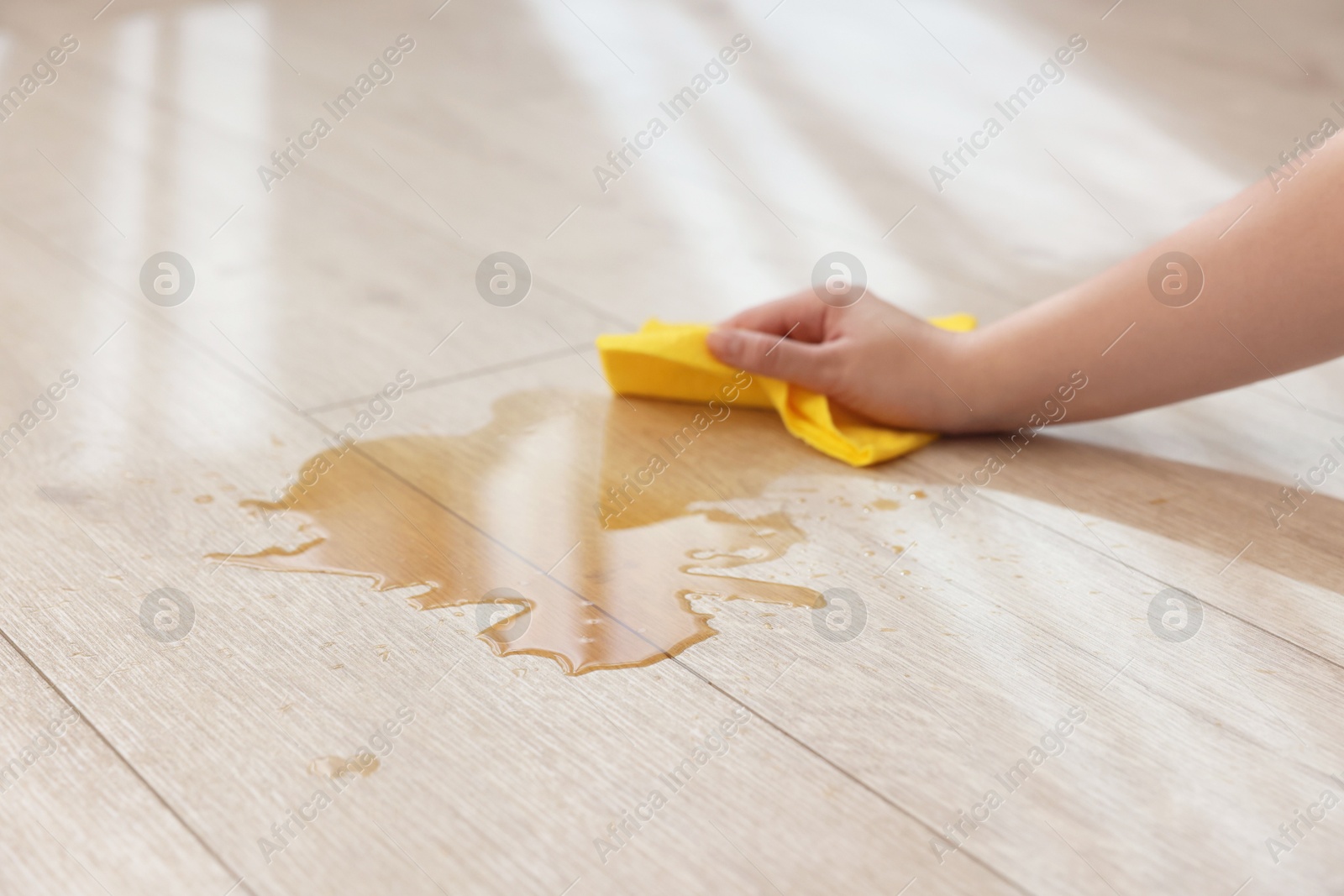 Photo of Woman wiping puddle of spilled drink on floor, closeup