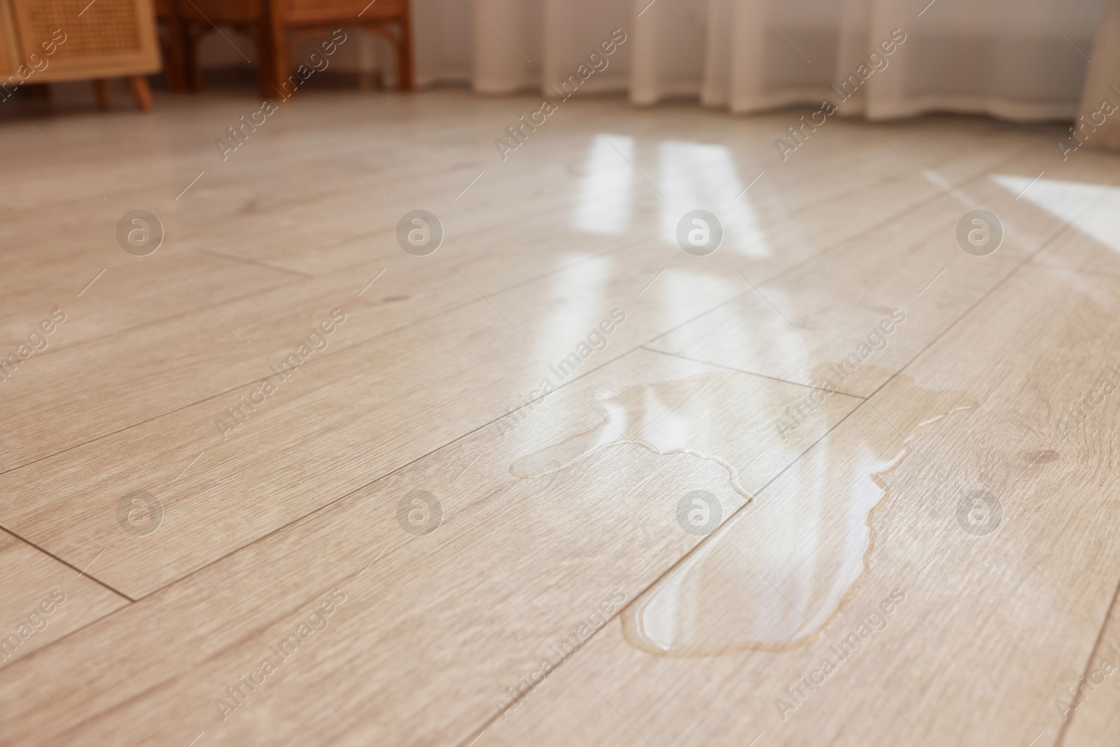 Photo of Puddle of liquid on wooden floor indoors, closeup. Space for text