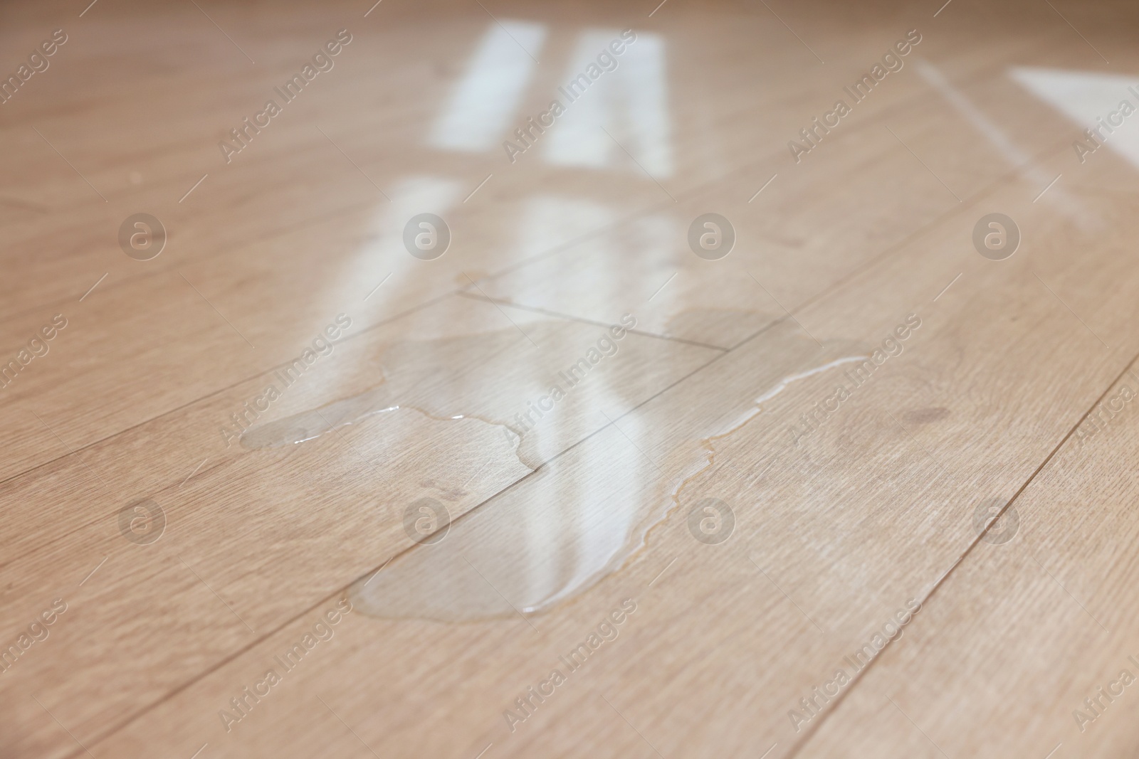 Photo of Puddle of liquid on wooden floor indoors, closeup