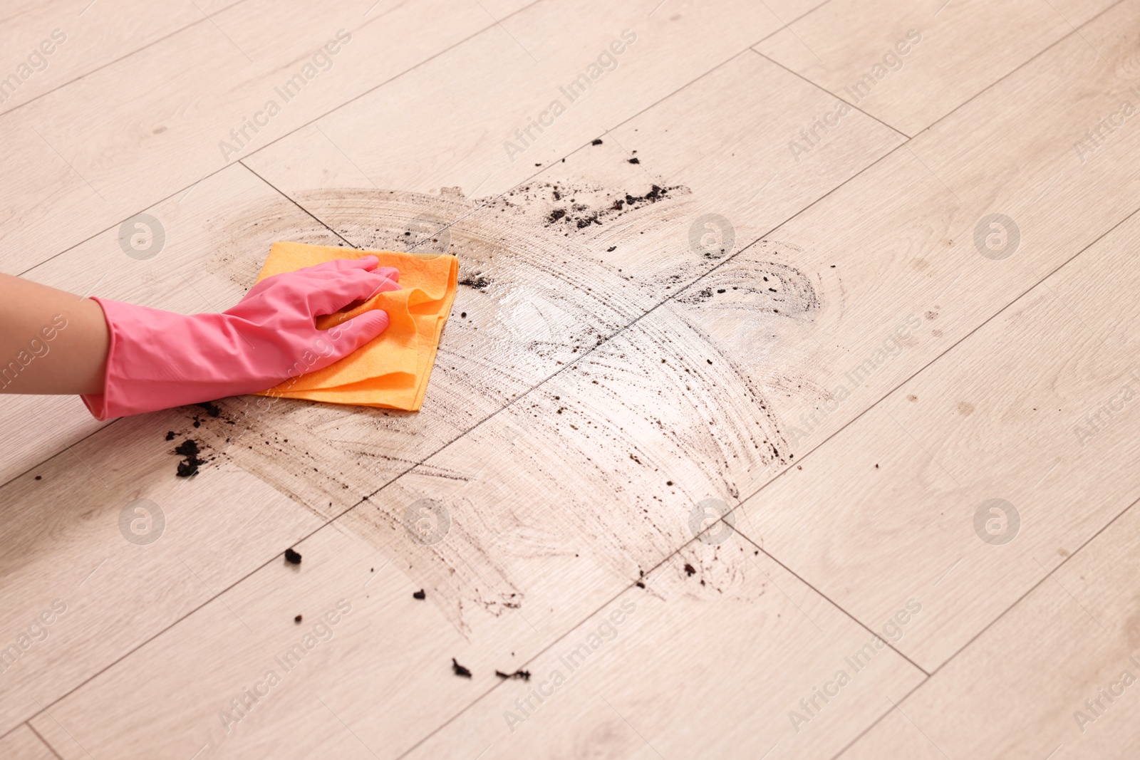 Photo of Woman cleaning dirt on wooden floor, closeup