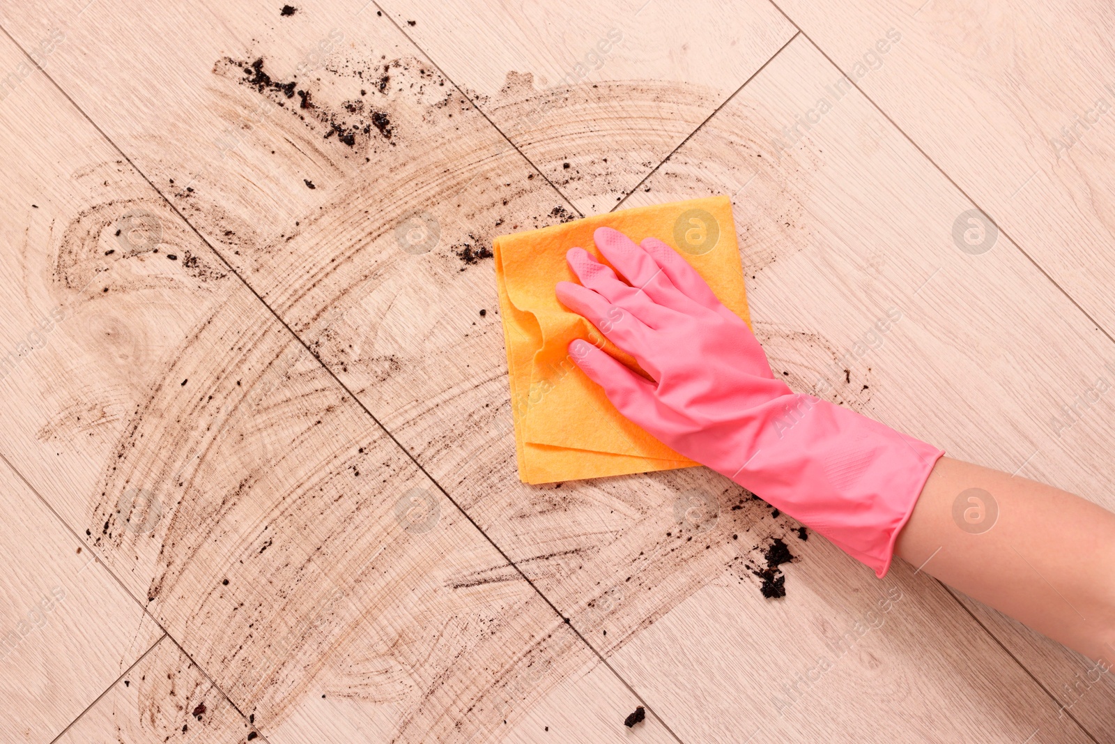 Photo of Woman cleaning dirt on wooden floor, closeup