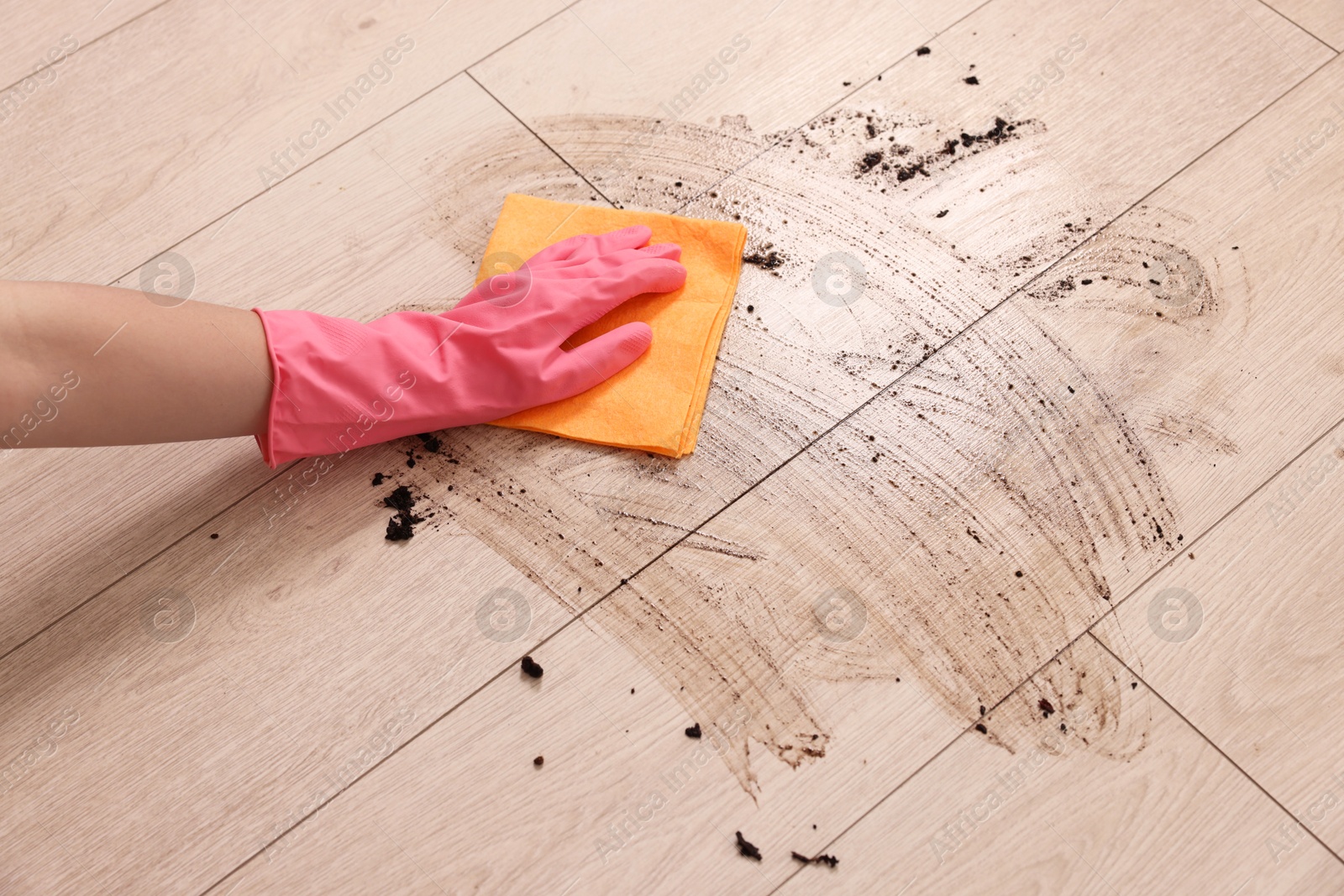 Photo of Woman cleaning dirt on wooden floor, closeup