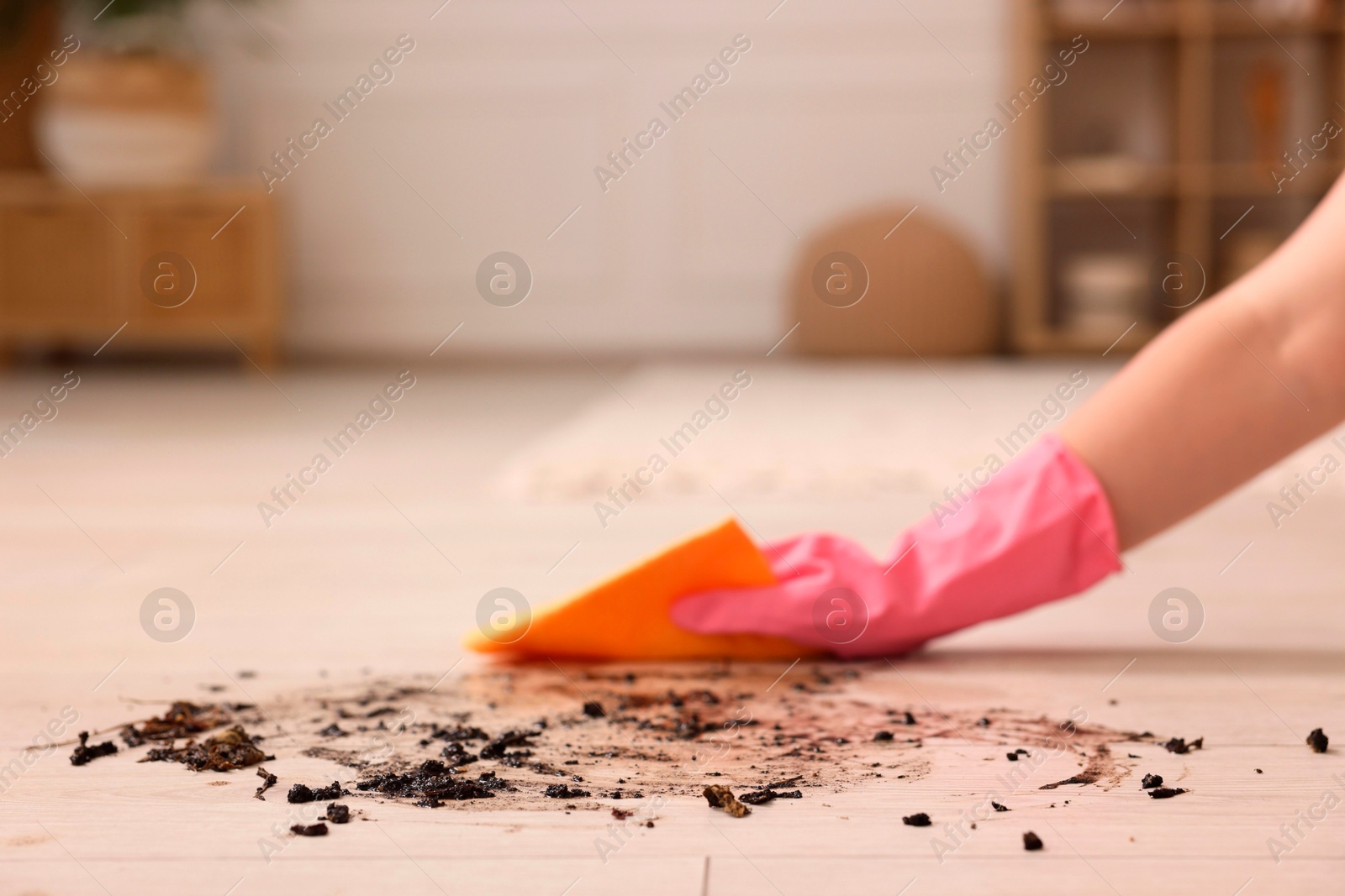 Photo of Woman cleaning dirt on wooden floor, closeup. Space for text