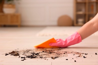 Photo of Woman cleaning dirt on wooden floor, closeup. Space for text