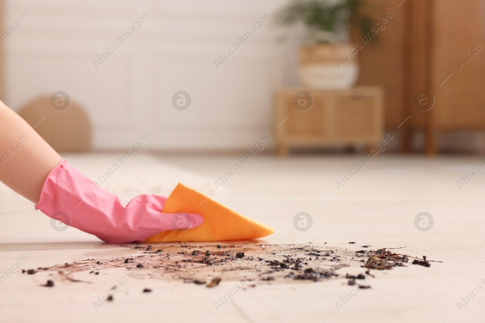 Photo of Woman cleaning dirt on wooden floor, closeup. Space for text