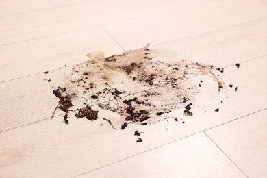 Photo of Mud stain on wooden floor indoors, closeup