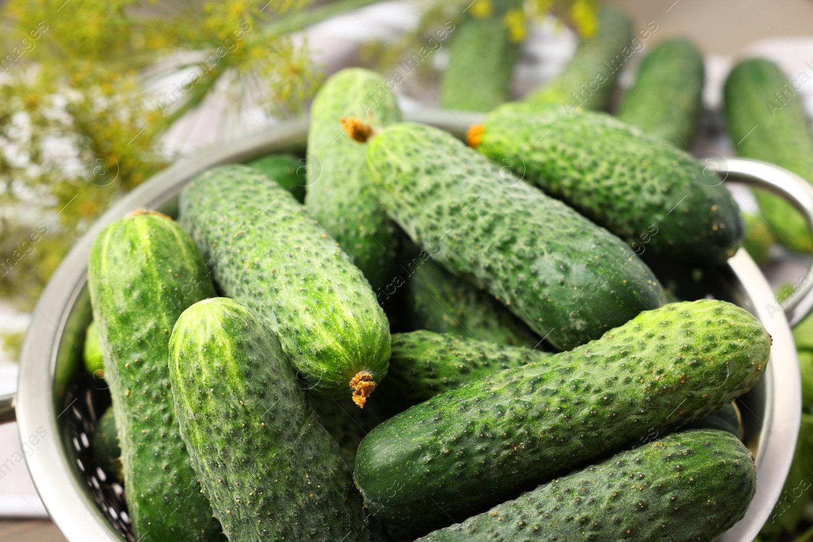 Photo of Fresh green cucumbers in colander on table, closeup