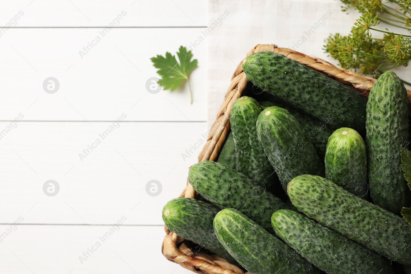 Photo of Fresh green cucumbers in wicker box and spices on white wooden table, top view. Space for text