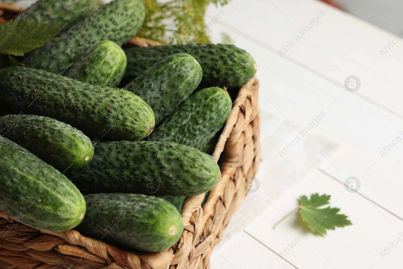 Photo of Fresh green cucumbers in wicker box on white table, closeup