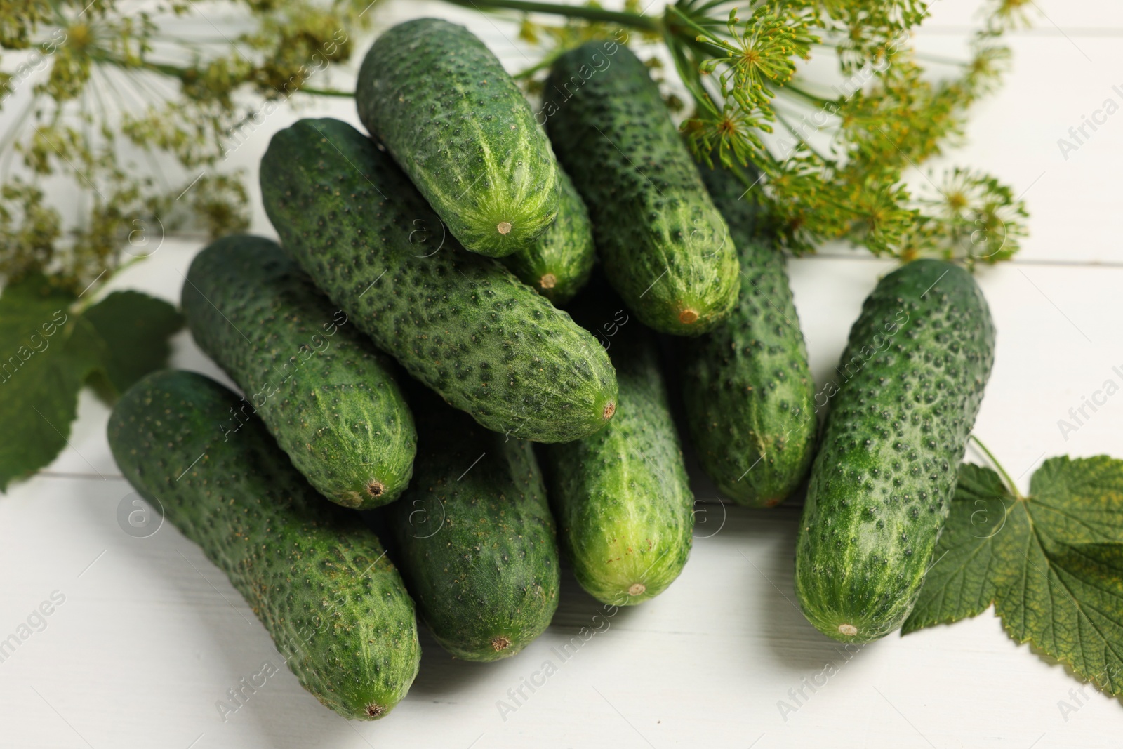 Photo of Fresh green cucumbers and spices on white wooden table