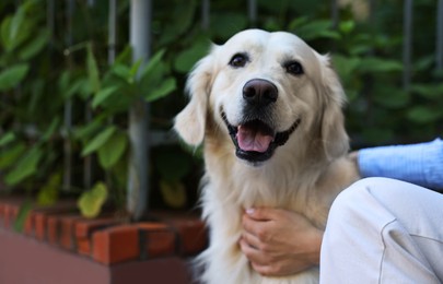 Owner with cute Golden Retriever dog outdoors, closeup. Space for text