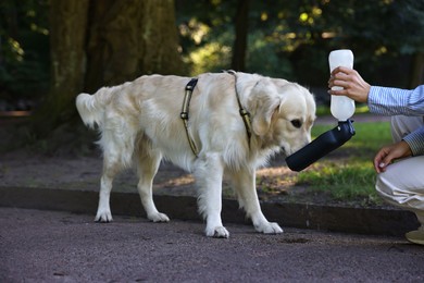 Photo of Owner giving water to her cute Golden Retriever dog on city street, closeup