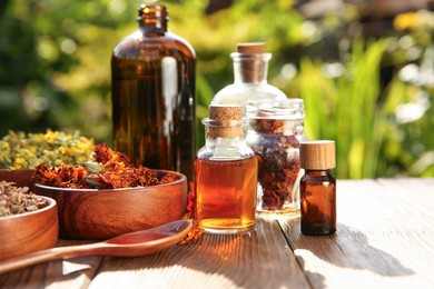 Photo of Different tinctures and ingredients on wooden table outdoors