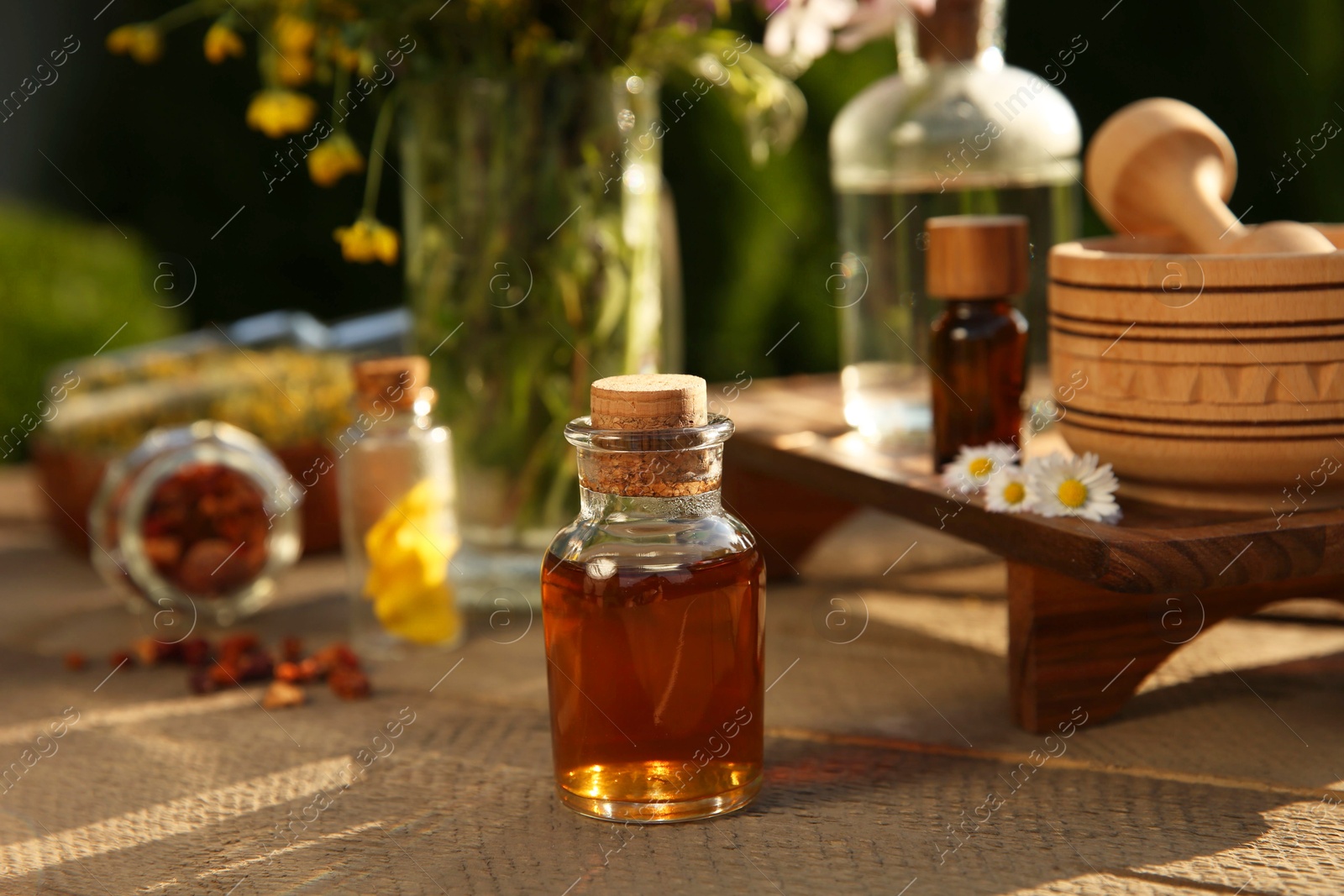 Photo of Tincture in bottles, different ingredients, mortar and pestle on wooden table outdoors