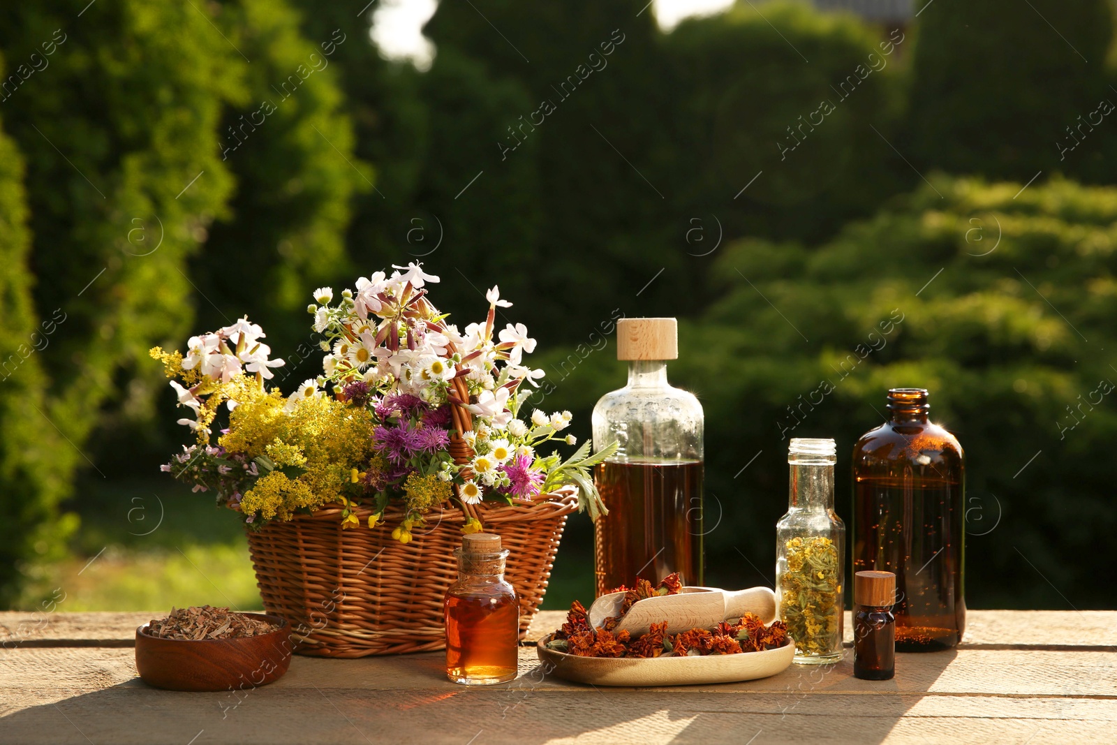 Photo of Tincture in bottles, different flowers and bark chips on wooden table outdoors