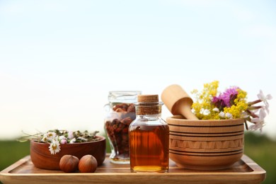 Photo of Tincture in bottle, different ingredients, mortar and pestle outdoors