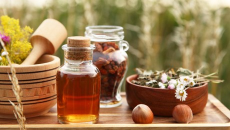 Tincture in bottle, different ingredients, mortar and pestle outdoors