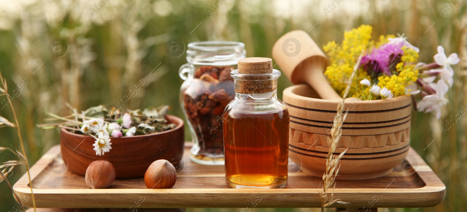 Photo of Tincture in bottle, different ingredients, mortar and pestle outdoors