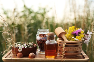 Tincture in bottle, different ingredients, mortar and pestle outdoors