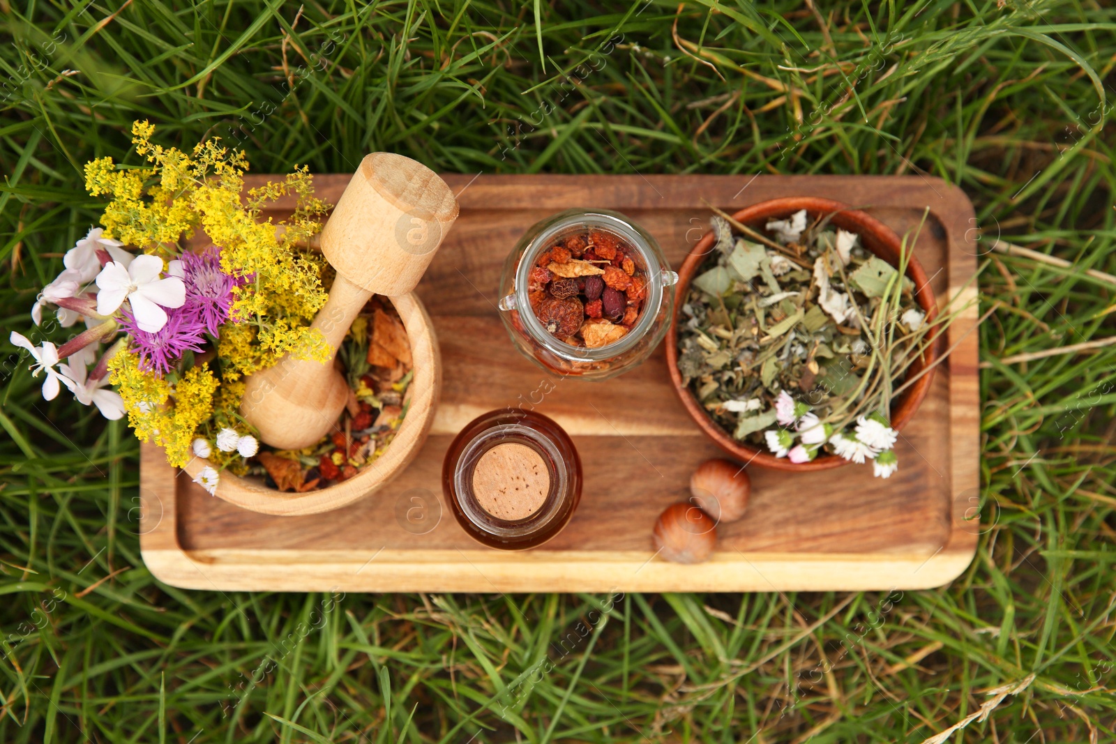 Photo of Tincture in bottle, different ingredients, mortar and pestle on green grass outdoors, top view