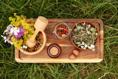 Photo of Tincture in bottle, different ingredients, mortar and pestle on green grass outdoors, top view