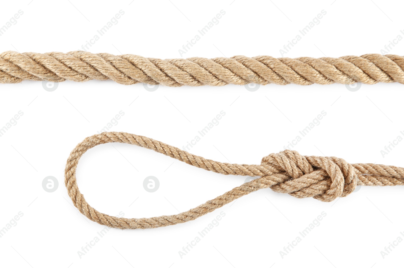 Photo of Hemp ropes isolated on white, top view