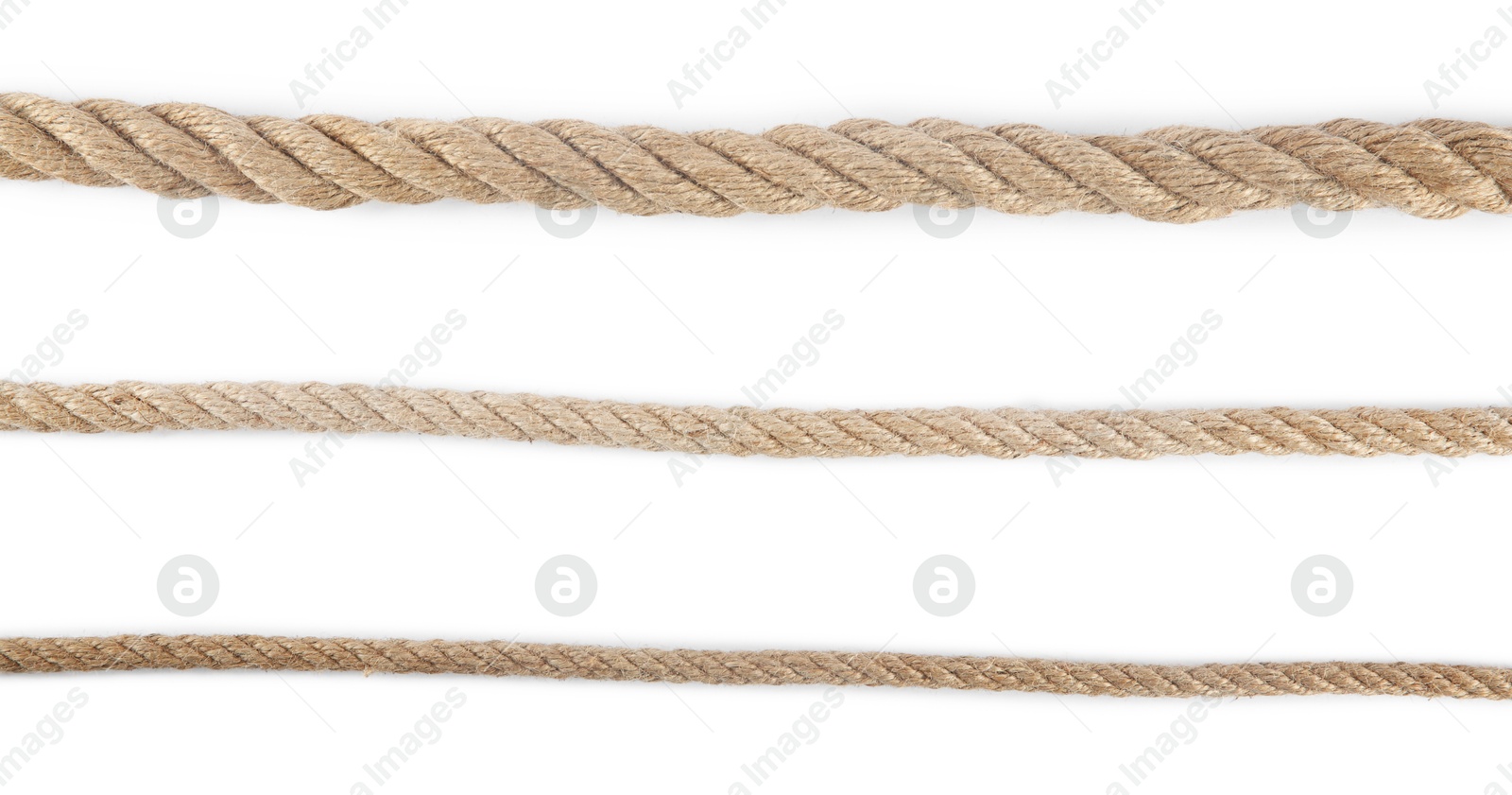 Photo of Hemp ropes isolated on white, top view