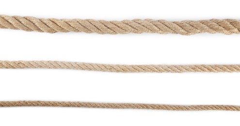 Photo of Hemp ropes isolated on white, top view