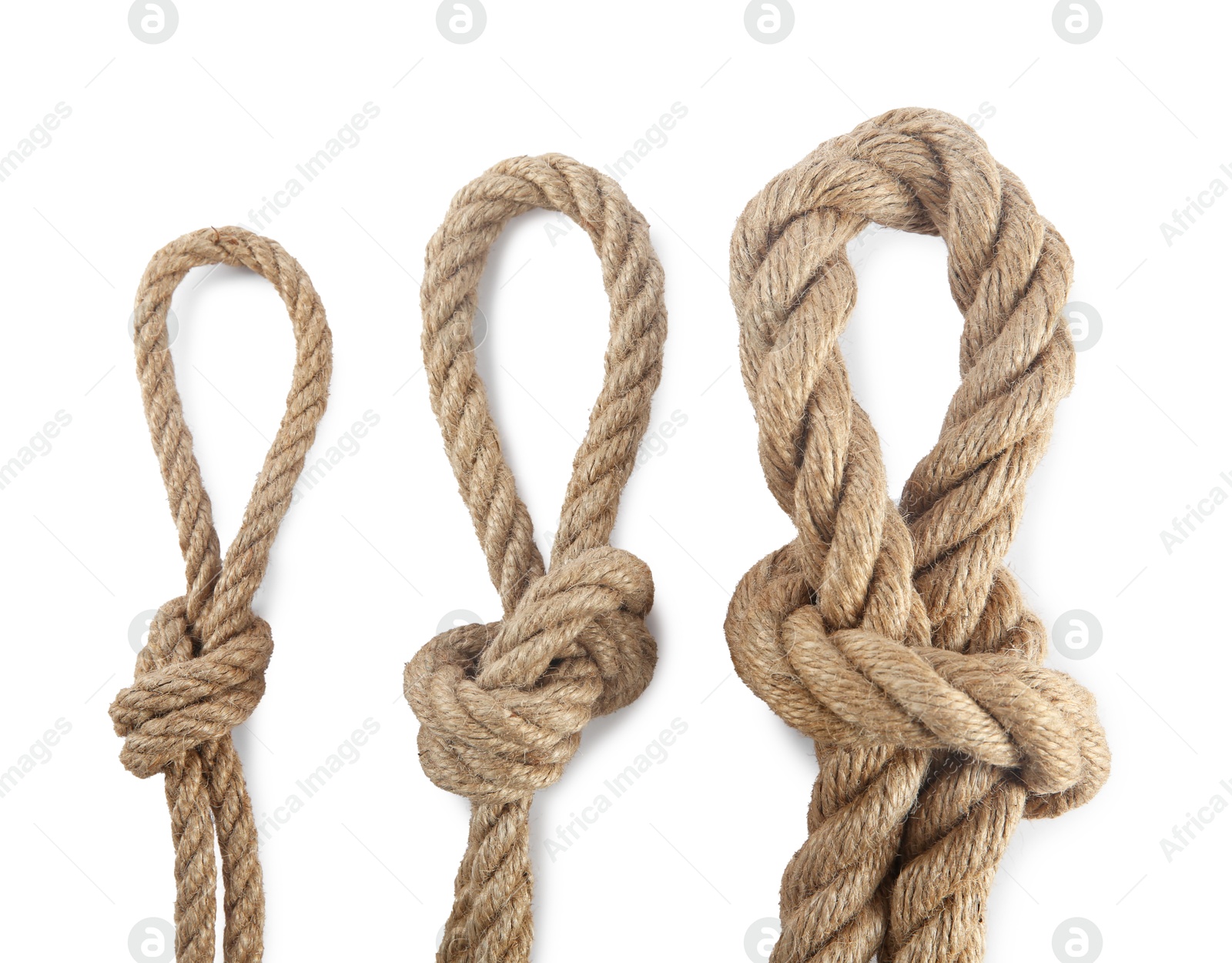 Photo of Hemp ropes with loops isolated on white, top view