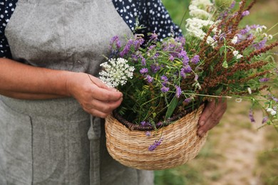 Senior woman with wildflowers for tincture outdoors, closeup