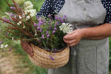 Senior woman with wildflowers for tincture outdoors, closeup