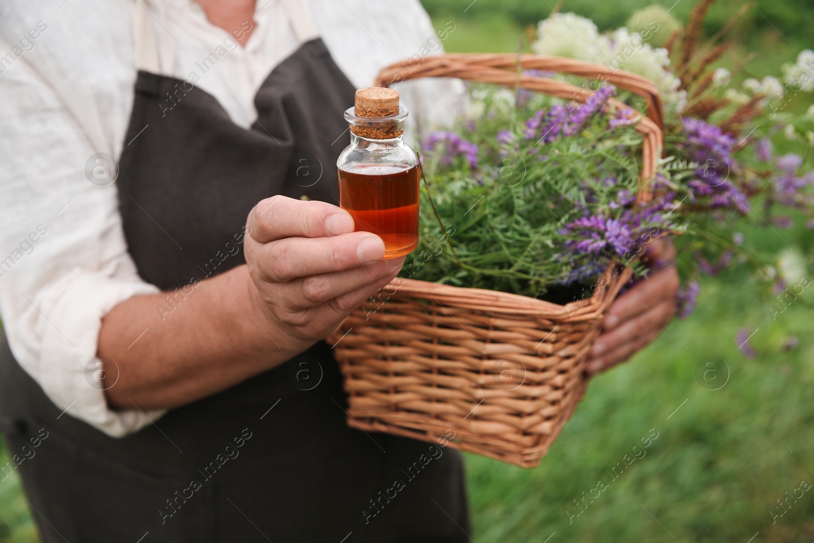 Photo of Senior woman with tincture and different ingredients outdoors, closeup