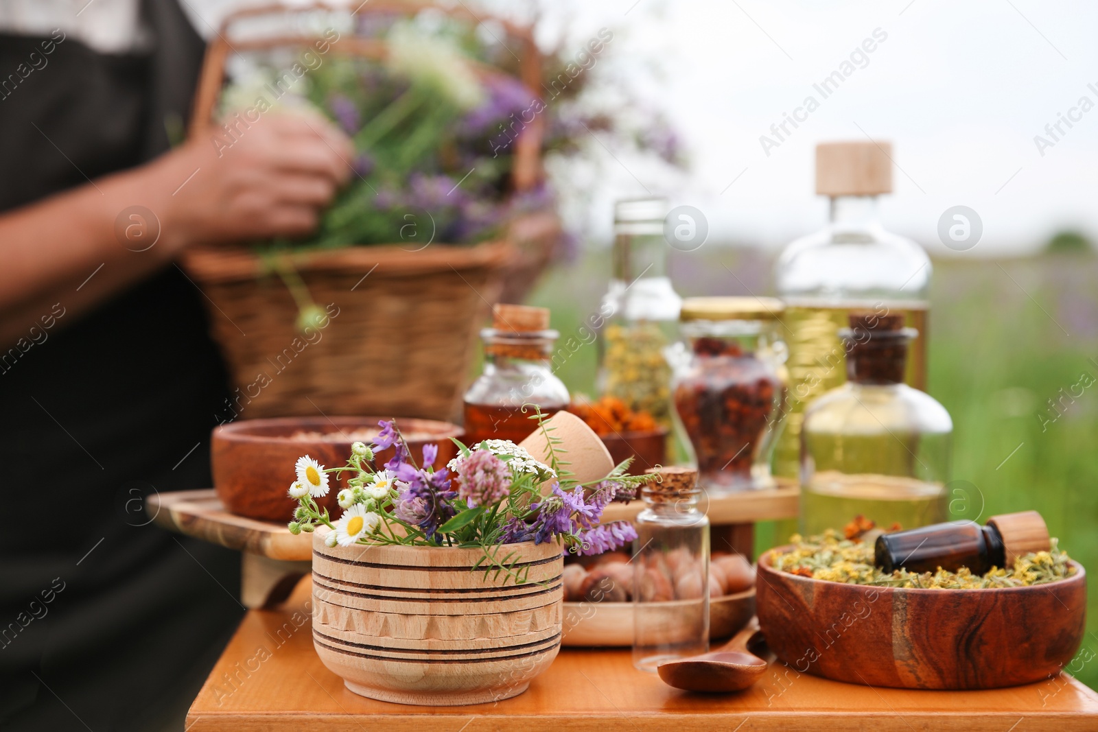 Photo of Senior woman with wildflowers outdoors, focus on different ingredients for tincture on wooden table