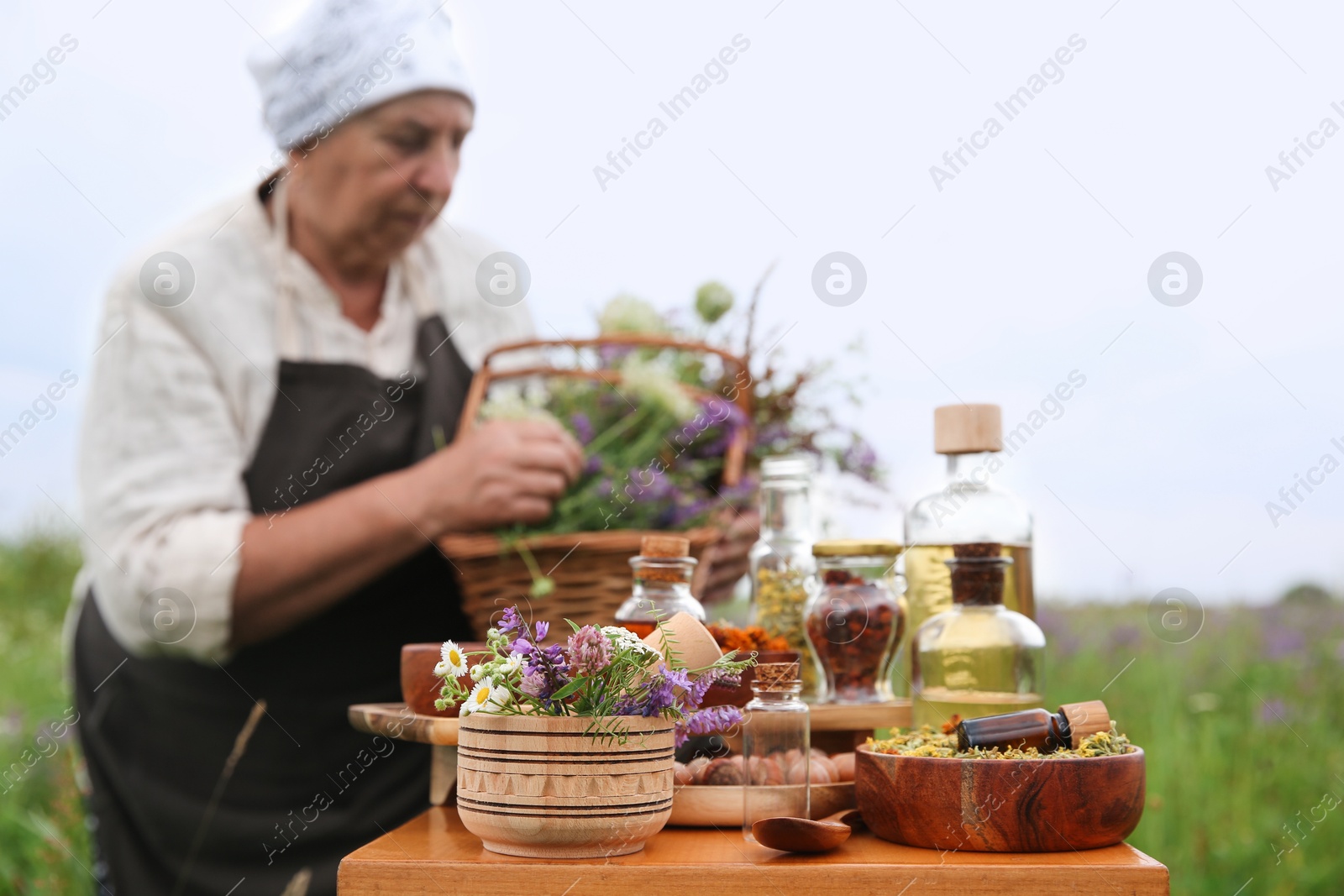 Photo of Senior woman with wildflowers outdoors, focus on different ingredients for tincture on wooden table