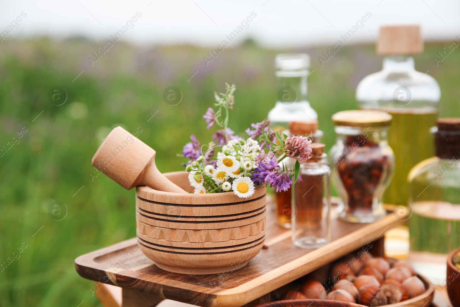 Photo of Tincture, wildflowers, hazelnuts mortar and pestle outdoors