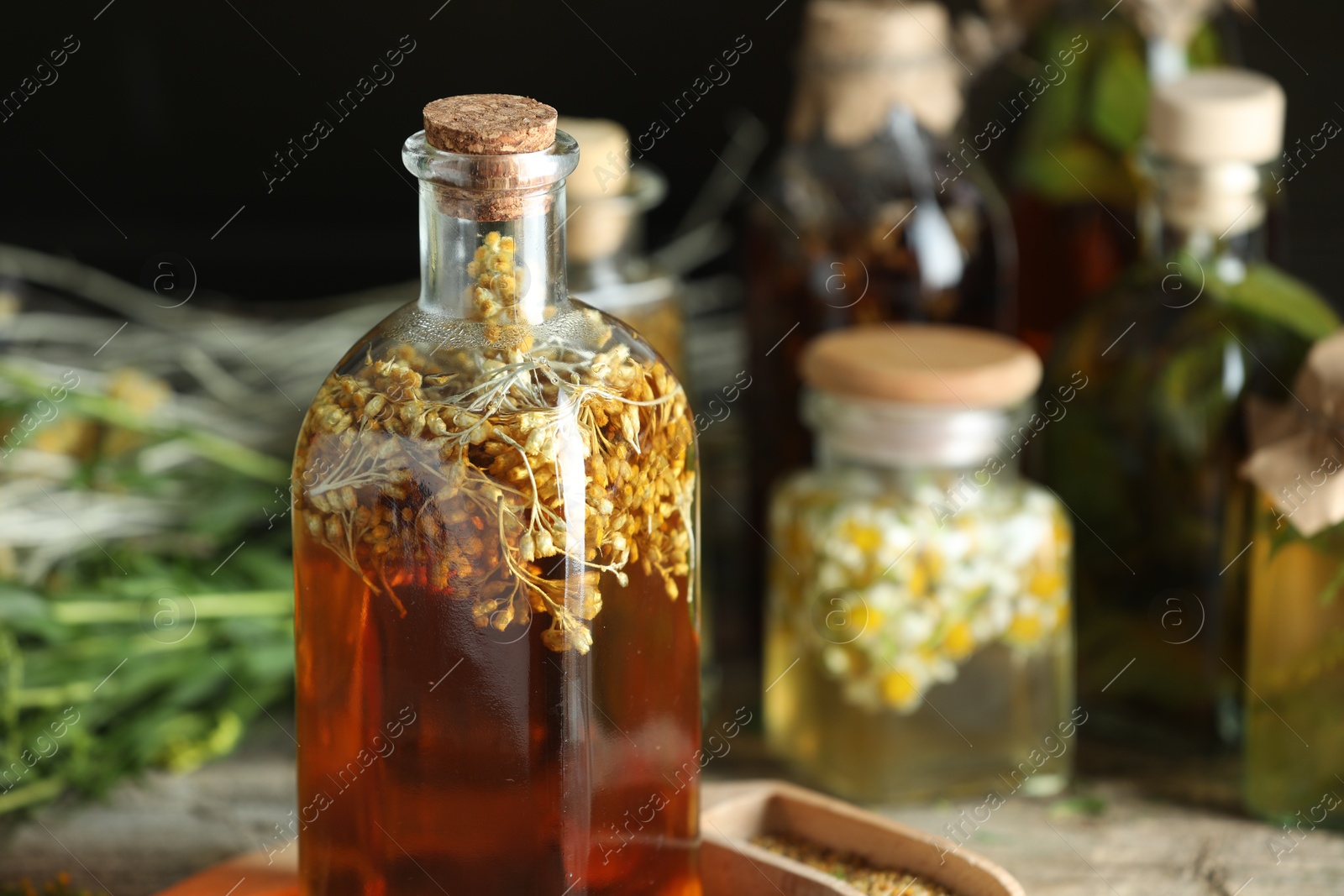 Photo of Natural tincture in bottle on table, closeup. Space for text