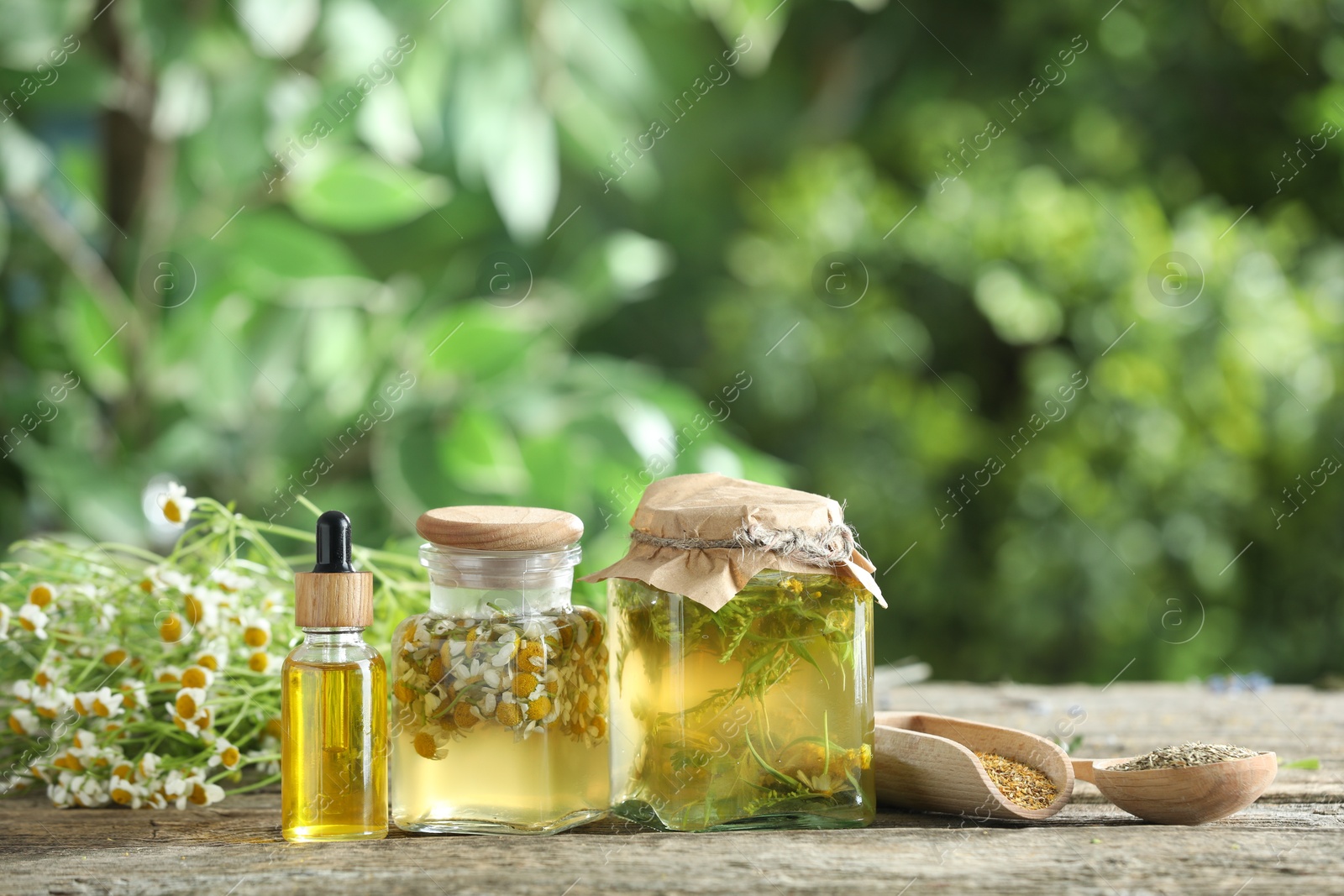 Photo of Different natural tinctures and dry daisy flowers on wooden table outdoors