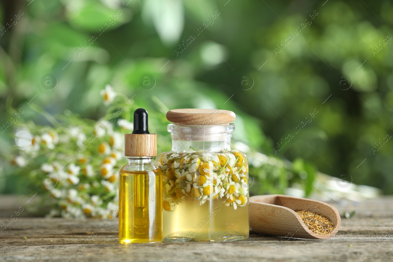 Photo of Different natural tinctures and dry daisy flowers in scoop on wooden table outdoors