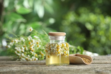 Photo of Natural tincture in jar and scoop of dry daisy flowers on wooden table outdoors