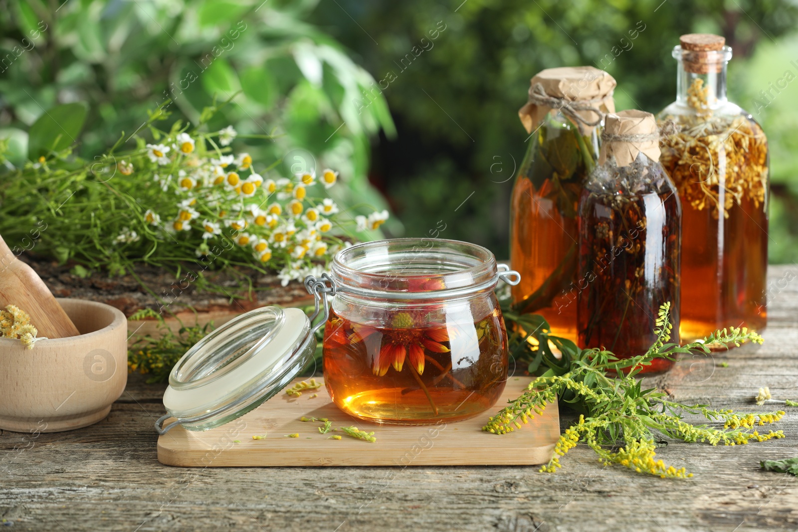 Photo of Different natural tinctures and herbs on wooden table outdoors