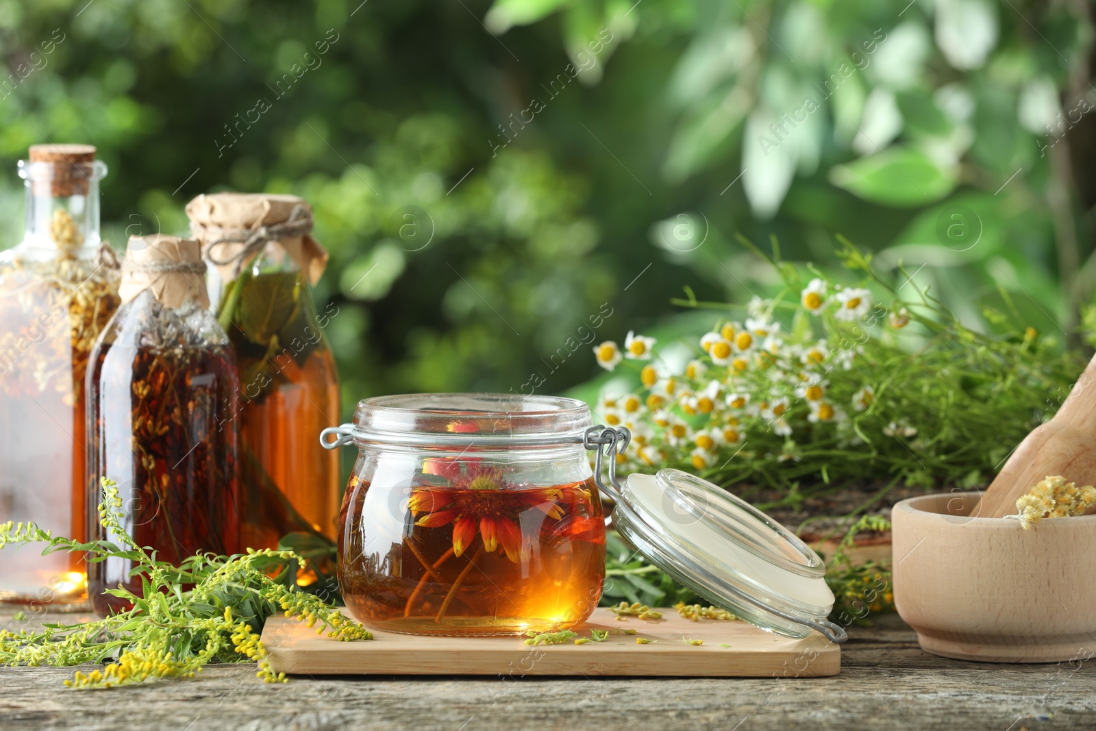 Photo of Different natural tinctures and herbs on wooden table outdoors