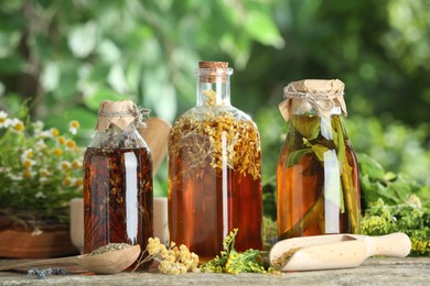 Photo of Different natural tinctures and herbs on wooden table outdoors