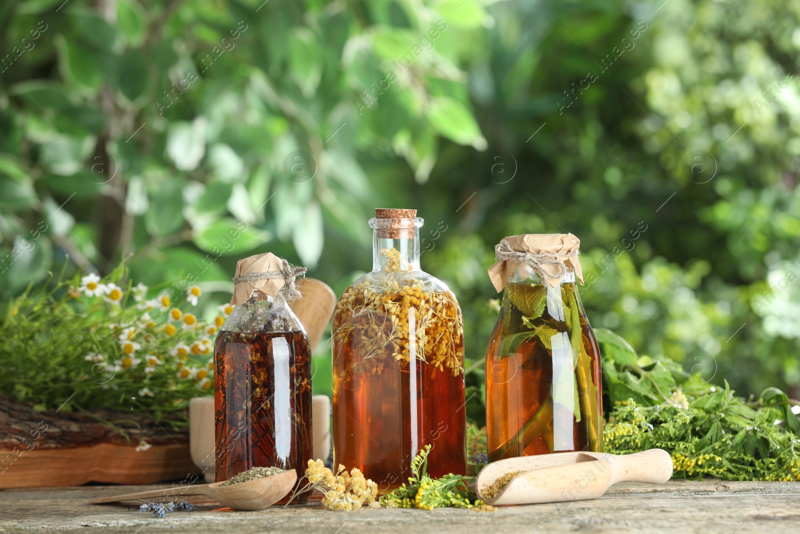 Photo of Different natural tinctures and herbs on wooden table outdoors