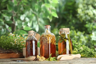 Different natural tinctures and herbs on wooden table outdoors