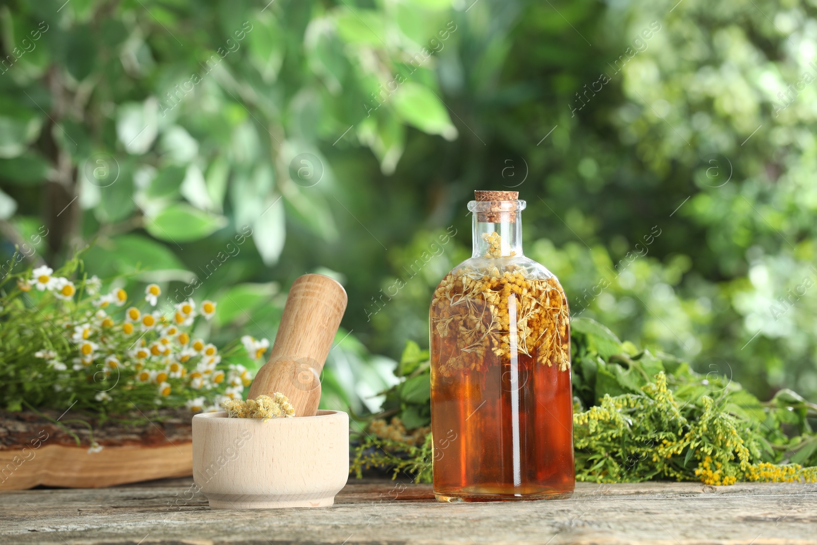 Photo of Natural tincture in bottle and herbs on wooden table outdoors