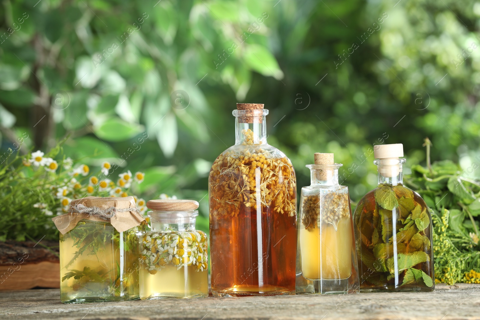 Photo of Different natural tinctures and herbs on wooden table outdoors