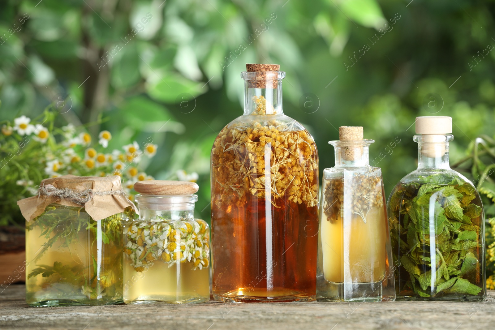 Photo of Different natural tinctures on wooden table outdoors, closeup