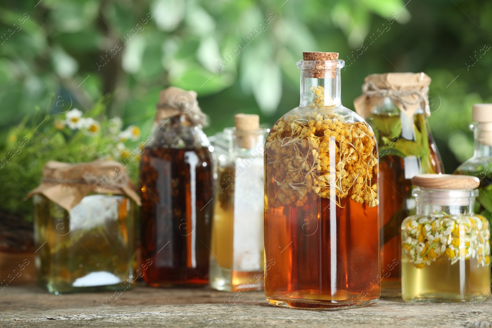 Photo of Different natural tinctures on wooden table outdoors, closeup