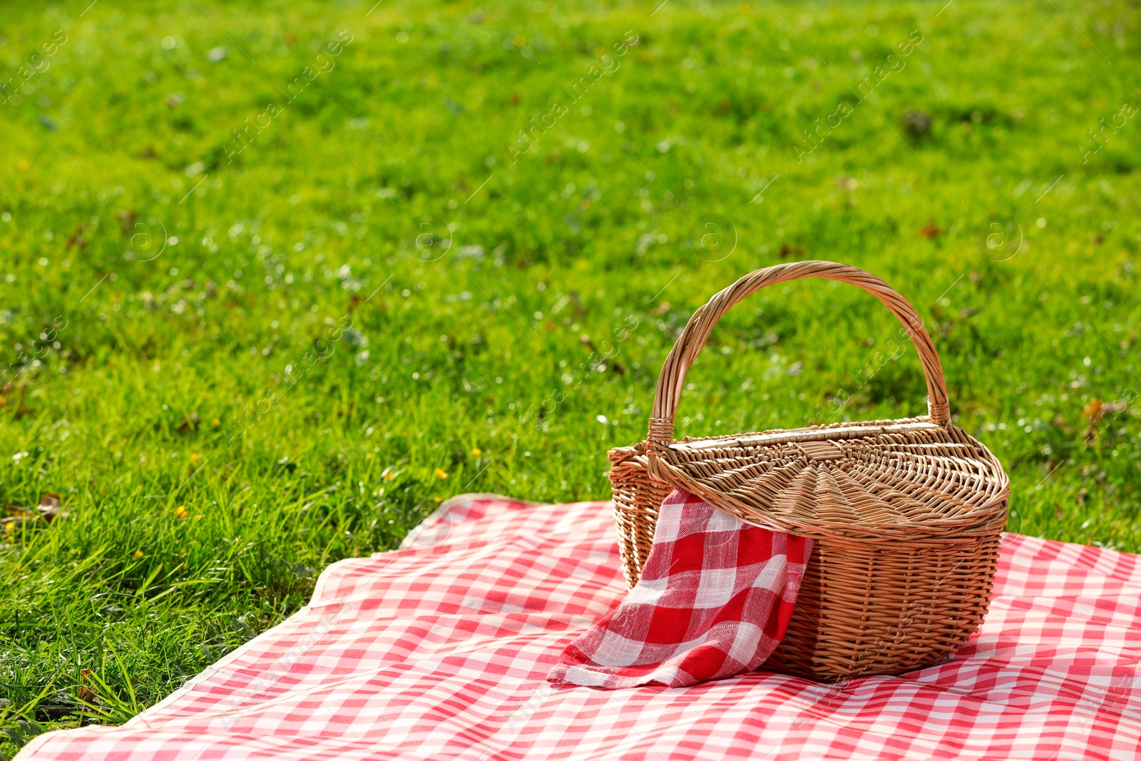 Photo of One picnic wicker basket with checkered napkin and blanket on green grass. Space for text